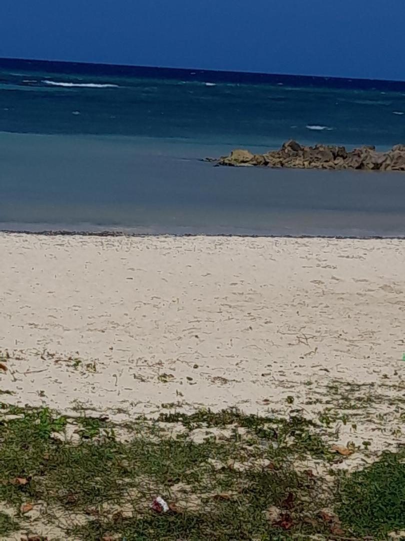 Sea Castles La Vue Lejlighed Montego Bay Eksteriør billede